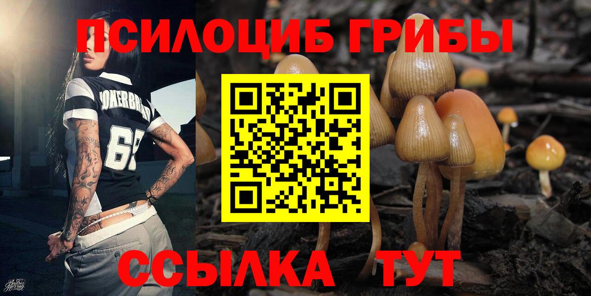 Псилоцибиновые грибы Magic Shrooms Торжок